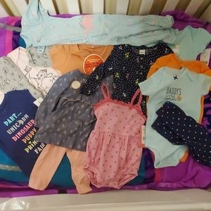 Size 9 month nwt girl lot